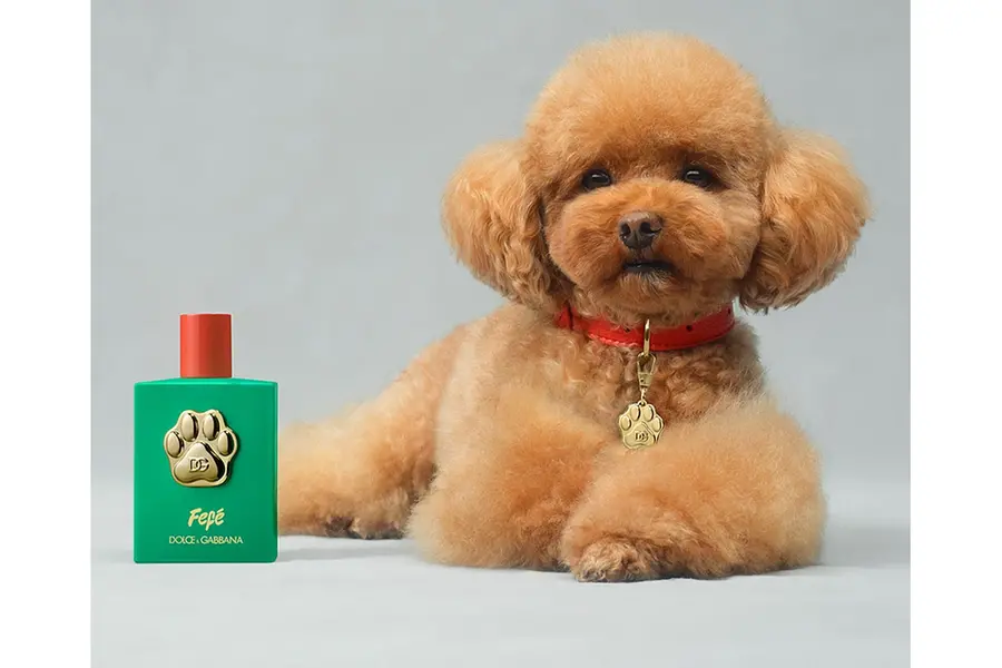 dog perfume
