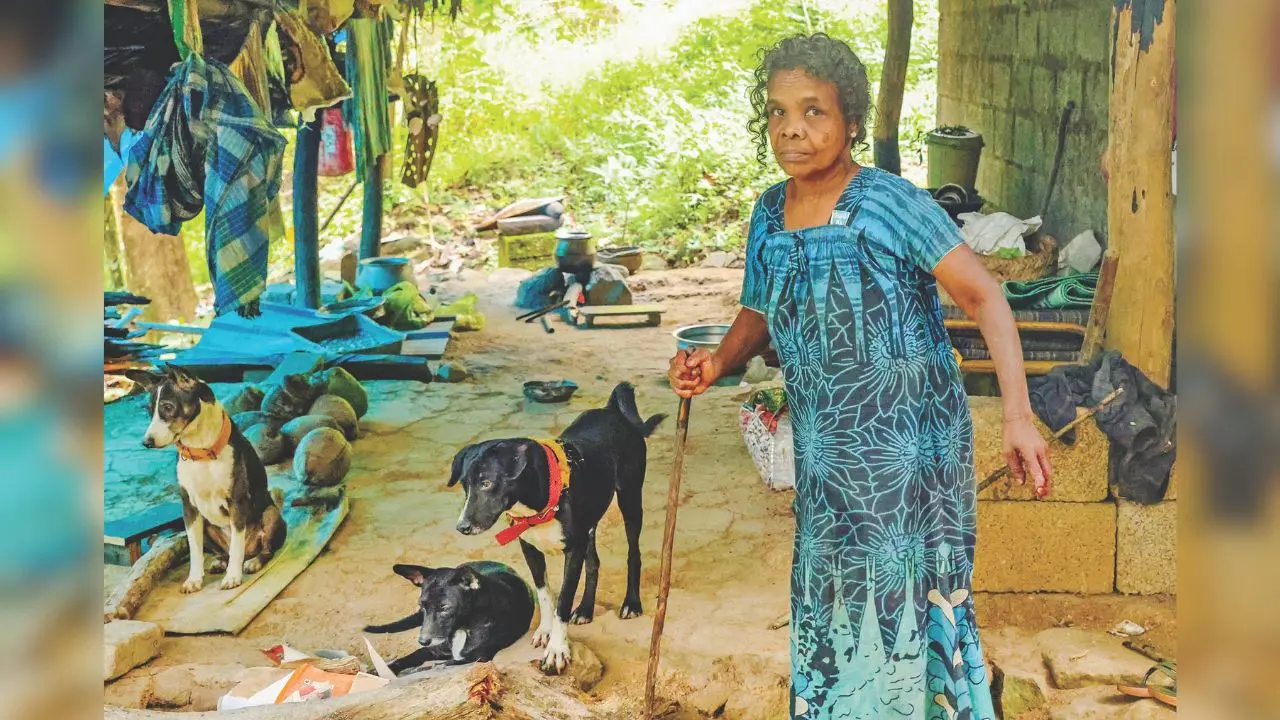 Sundari Kani of Daivakkallu outside her home with her dogs | Photo: B. Muralikrishnan/Mathrubhumi