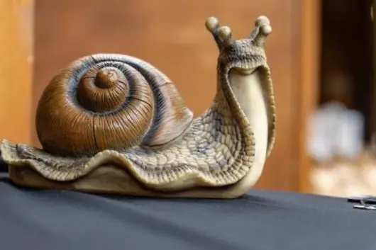 Snails worth ₹93 lakh stolen in France in high-profile heist ahead of Christmas deliveries