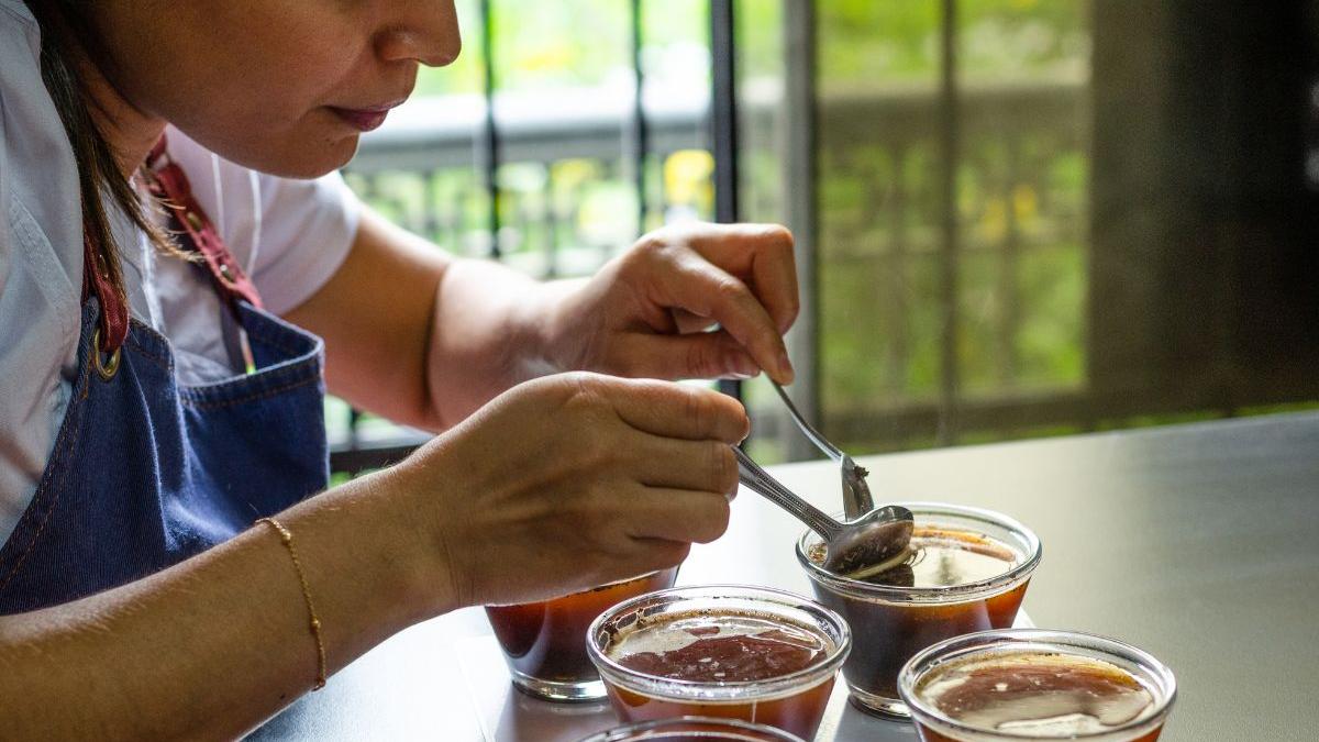 India’s coffee industry set for 8.9 per cent CAGR growth, driven by out-of-home demand