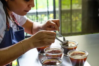 Brewing success: India's coffee industry set for 8.9 per cent CAGR growth, driven by out-of-home demand