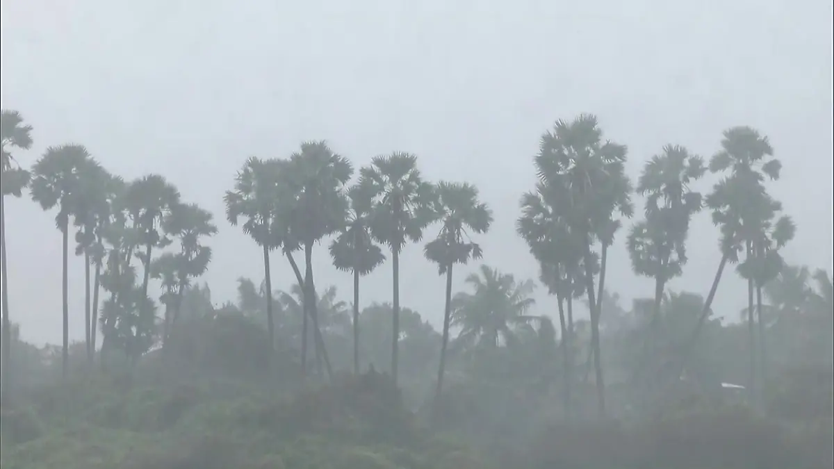 Cyclone Ditwah triggers rainfall, strong winds and high tides, in Nagapattinam | Photo: ANI