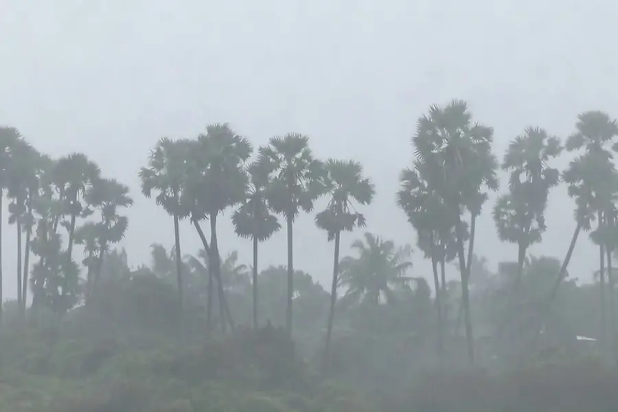TN govt warns public to stock essentials as Cyclone Ditwah moves closer