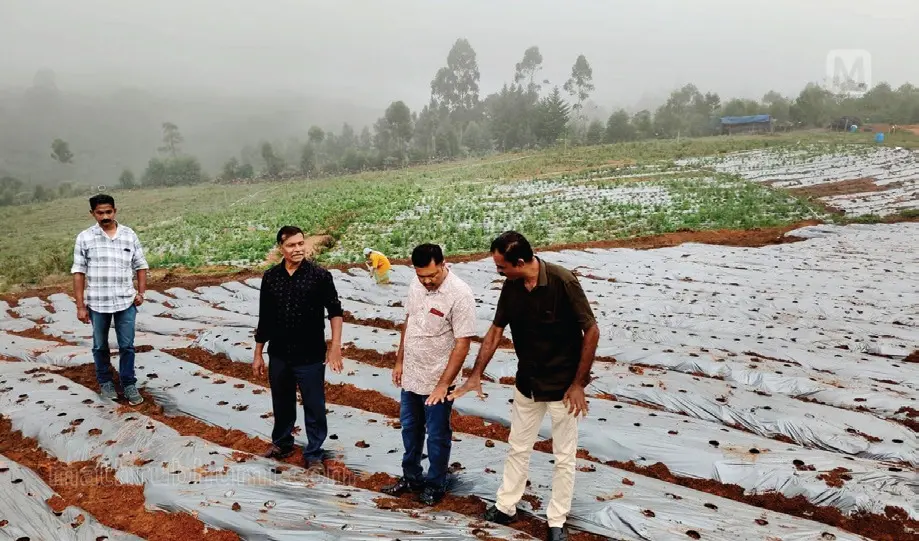 കാന്തല്ലൂരിലെ പ്രദീപ് കുമാർ എന്ന കർഷകന്റെ പതിനൊന്ന് ഏക്കർ സ്ഥലത്തെ സ്ട്രോബറി കൃഷി ഉദ്യോഗസ്ഥർ സന്ദർശിക്കുന്നു
