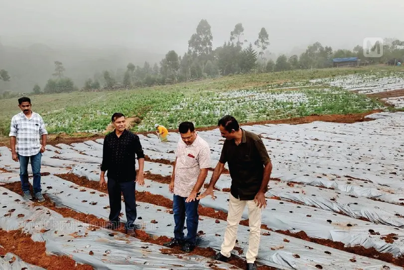 കാന്തല്ലൂരിന് സ്ട്രോബറി മധുരം; 30 ഏക്കറിൽ വിപ്ലവം തീർക്കാൻ 'വിന്റർ ഡോണും', 'സ്വീറ്റ് ചാർലി'യും
