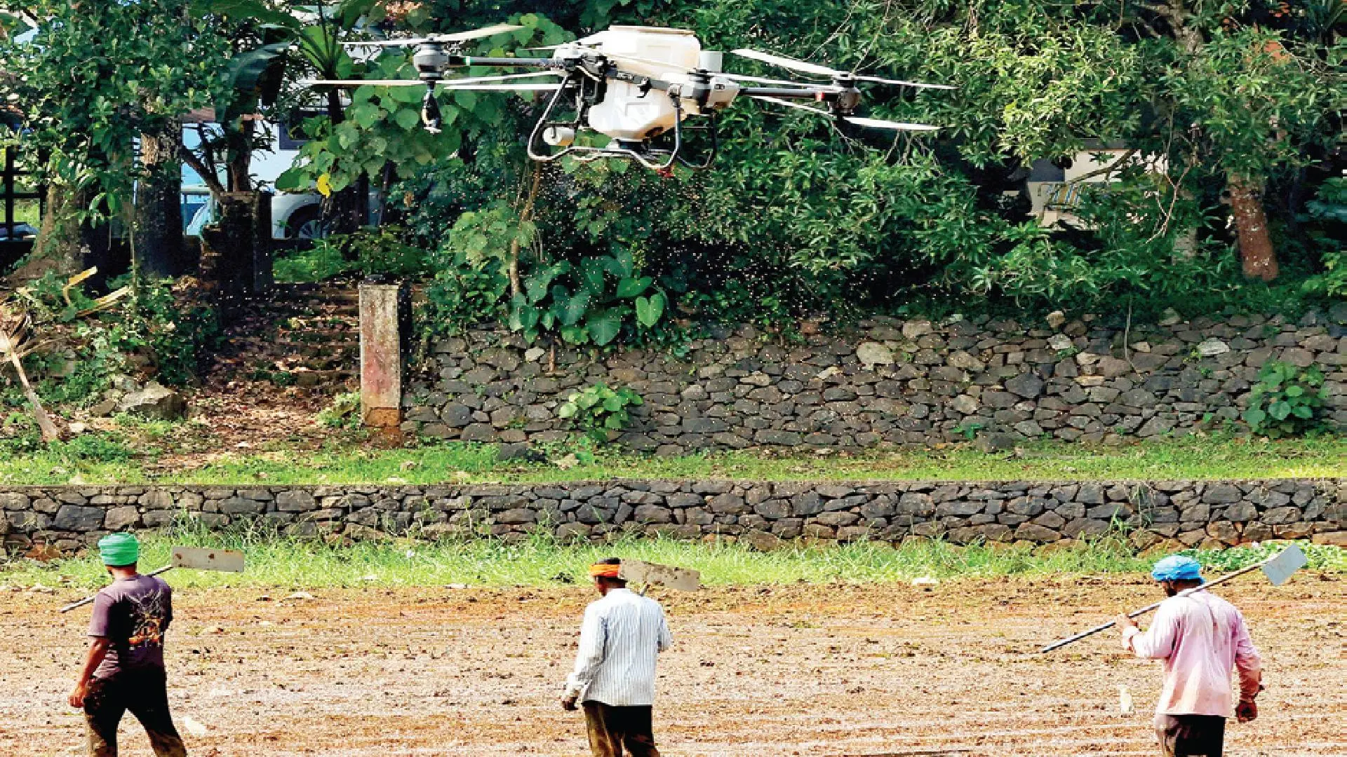 കൊല്ലാട് കിഴക്കുപുറം, വടക്കുപുറം പാടശേഖരങ്ങളില് ഞായറാഴ്ച ഡ്രോൺ ഉപയോഗിച്ച് വിത്ത് വിതയ്ക്കുന്നു