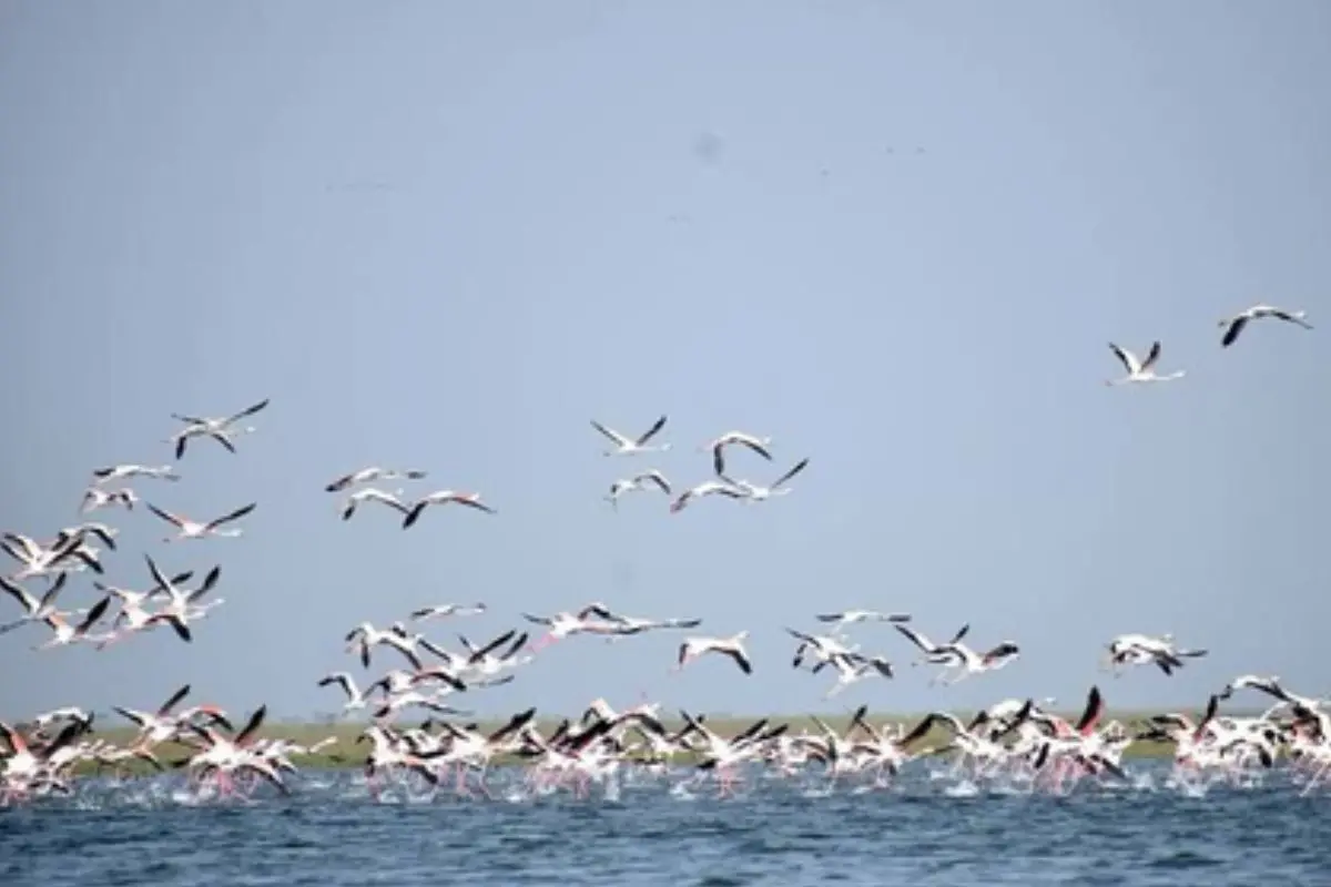 Representational Image | Photo: IANS