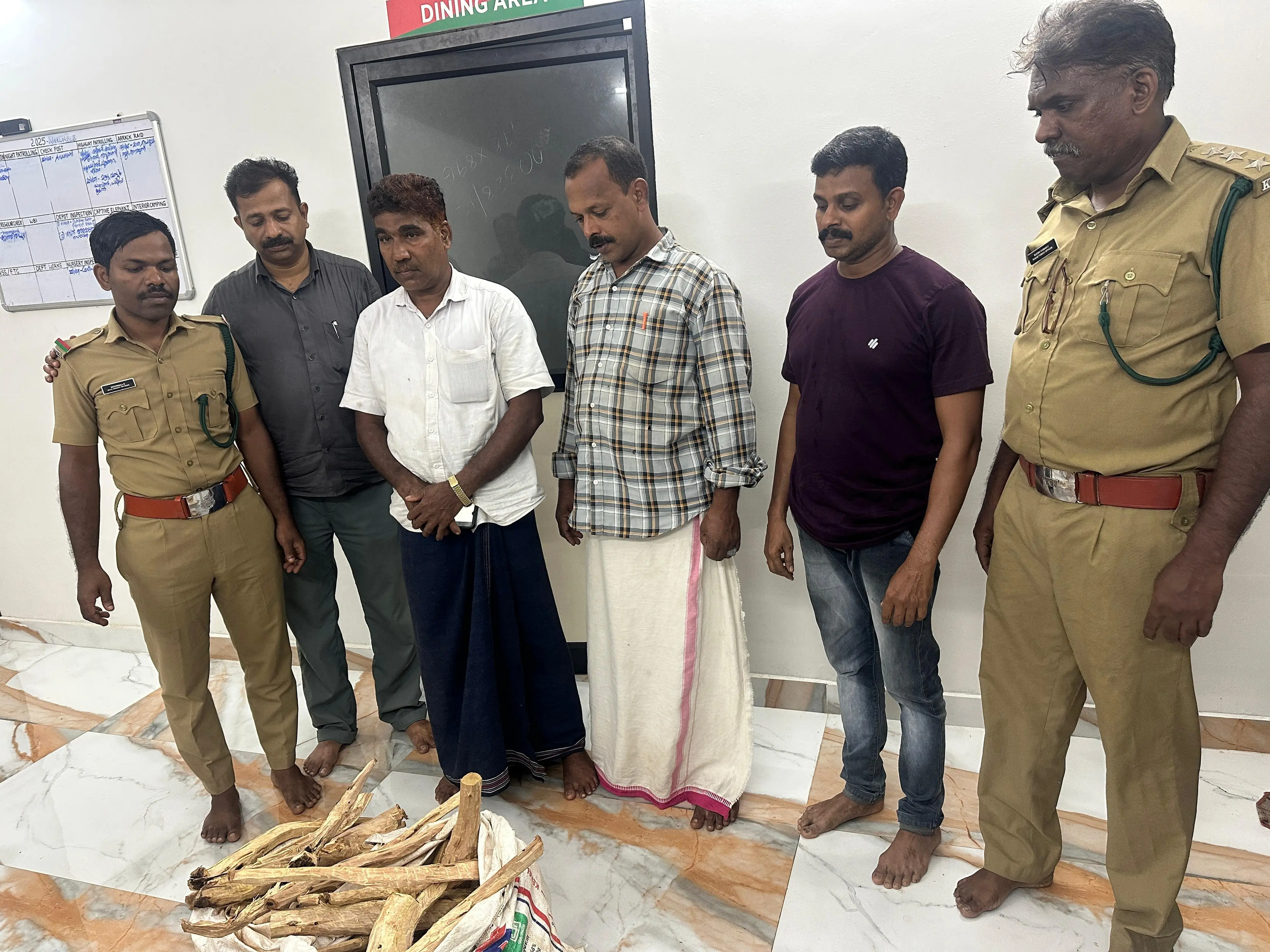 പിടിച്ചെടുത്ത ചന്ദനമര കഷണങ്ങൾ വനം വിജിലൻസ് വിഭാഗം റെയഞ്ച് ഓഫീസര് ബി. ബിജേഷ് കുമാര് പരിശോധന നടത്തുന്നു, പ്രതികളും (നടുവിലെ രണ്ടുപേര്) വനം ഉദ്യോഗസ്ഥരും