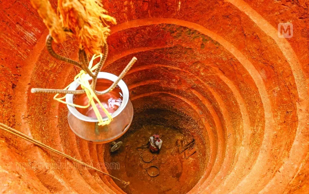 പ്രതീകാത്മക ചിത്രം. ഫോട്ടോ: പി.കൃഷ്ണപ്രദീപ്