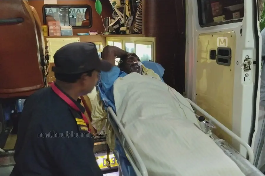 തേക്കടിയിൽ കടുവ സെൻസസ് നിരീക്ഷണ സംഘത്തിനുനേരെ കാട്ടുപോത്തിന്റെ ആക്രമണം; വാച്ചർക്ക് ഗുരുതര പരിക്ക്