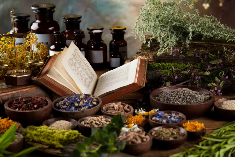 Kerala PG Ayurveda admissions 2025-26: Last chance for fresh applications before stray vacancy round
