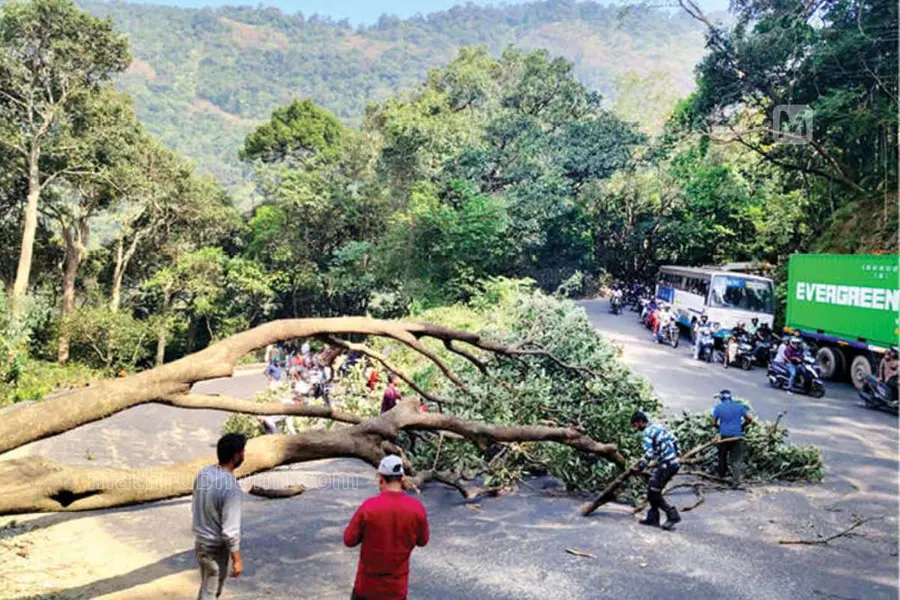 thamarassery ghat