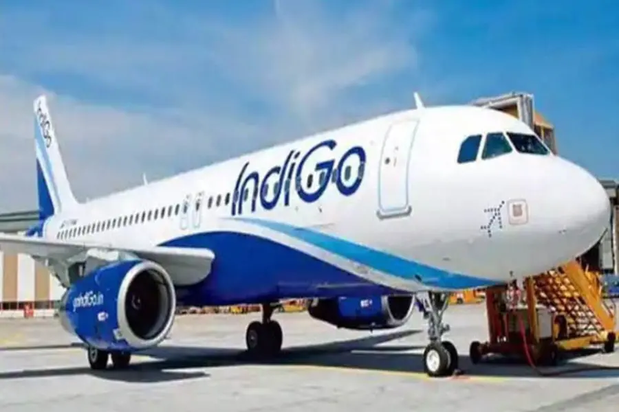 Indigo