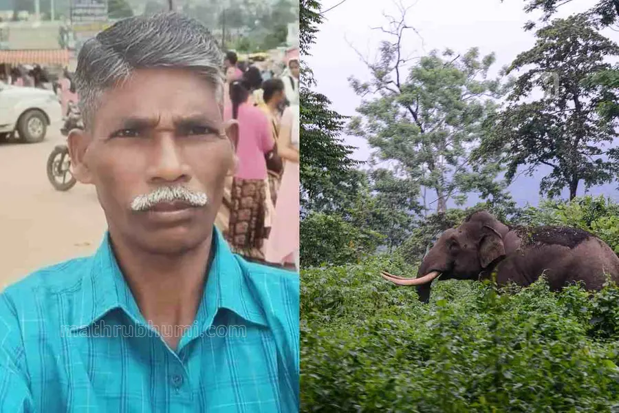 കടുവാ സെന്സസിനു പോയ വനംവകുപ്പ് ജീവനക്കാരന് കാട്ടാനയുടെ ആക്രമണത്തില് മരിച്ചു