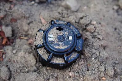 Landmines detonate as forest fire sweeps along LoC in J&K’s Poonch