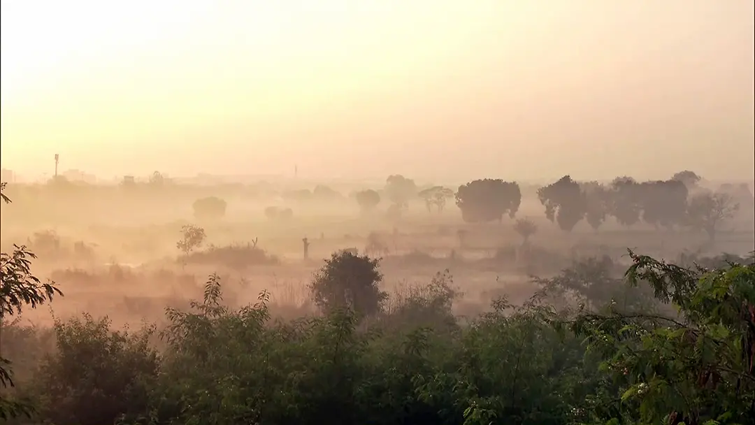 A view of the Akshardham area covered in dense smog as the Air Quality Index (AQI) is in the 'severe' category in New Delhi | Photo: ANI
