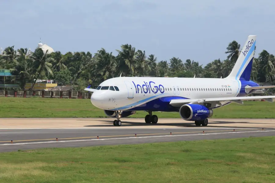 indigo shares
