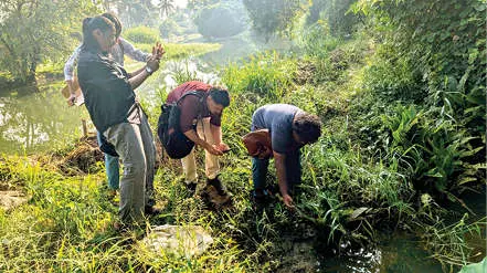• കാഞ്ഞിരം ഭാഗത്തുള്ള പുഴയോരത്ത് നീർനായയുടെ കാൽപ്പാടുകൾ പരിശോധിക്കുന്ന സർവേ ടീമംഗങ്ങൾ