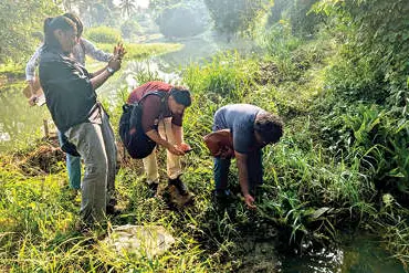 kottayam-otter-population-survey