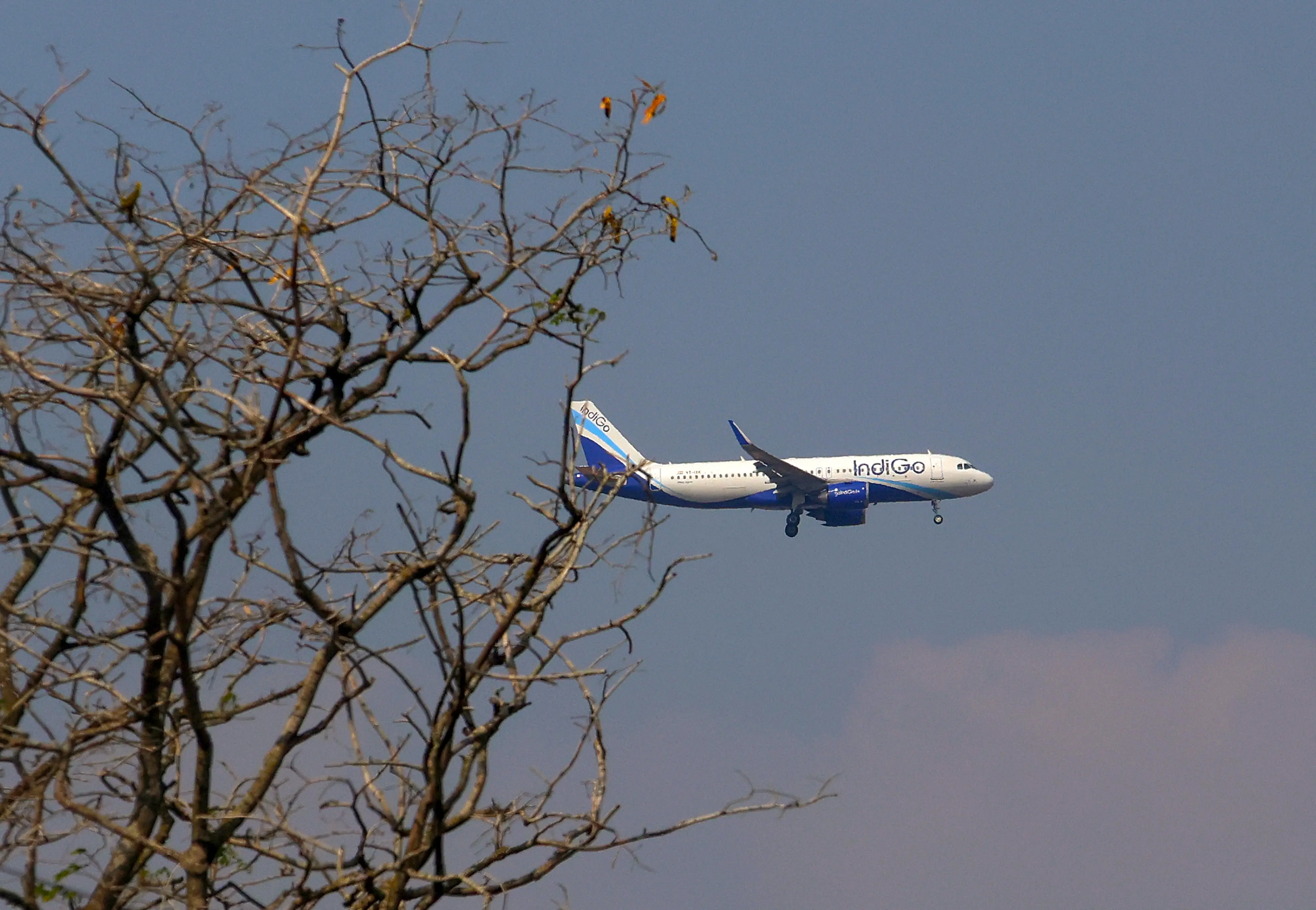 An IndiGo aircraft prepares to land at Kempegowda International, in Bengaluru, Karnataka | PTI