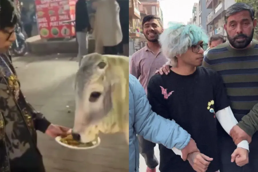 Ritik Chandna filmed feeding chicken momos to cow, faces legal action