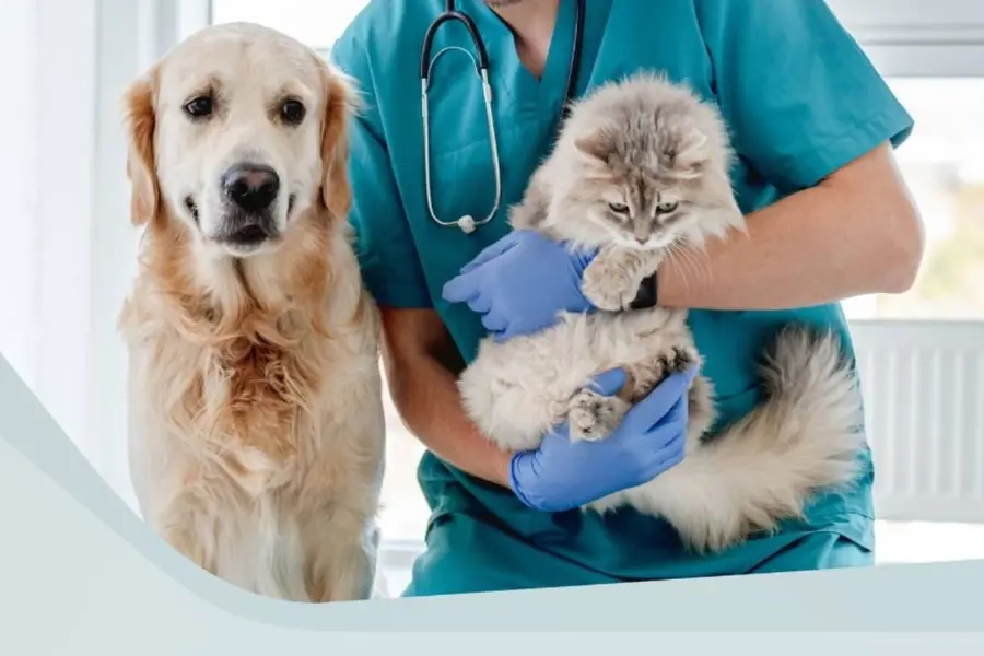 animal health