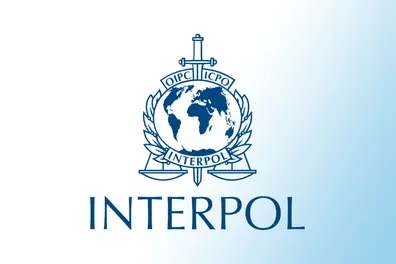 Animal trafficking reaches record high in 2025: Interpol