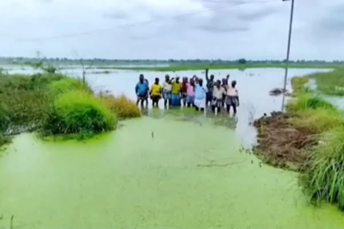 Mannargudi farmers, Tamil Nadu| Photo:PTI