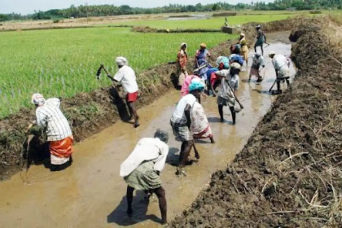 Rural workers engaged in manual labour under India's employment guarantee programme. Photo: X