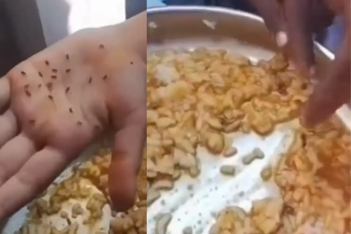 Viral video shows worms in children`s mid-day meals at a Koppal, Karnataka school