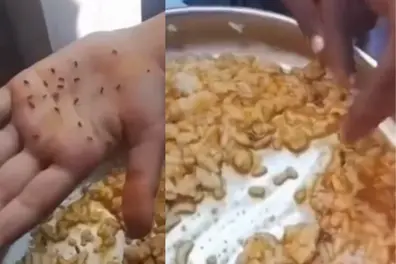 How safe are mid-day meals? Worms found in children’s lunch at a Karnataka school | VIDEO