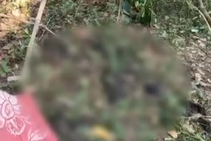 കോഴിക്കോട്ട് ആളൊഴിഞ്ഞ പറമ്പിൽ അസ്ഥികൂടം