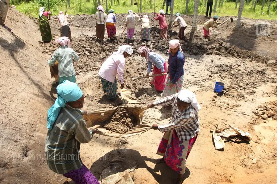 MGNREGA  workers