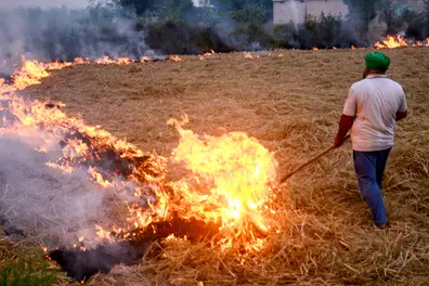 Changing farmer practices: NASA explains how later stubble burns impact air pollution monitoring