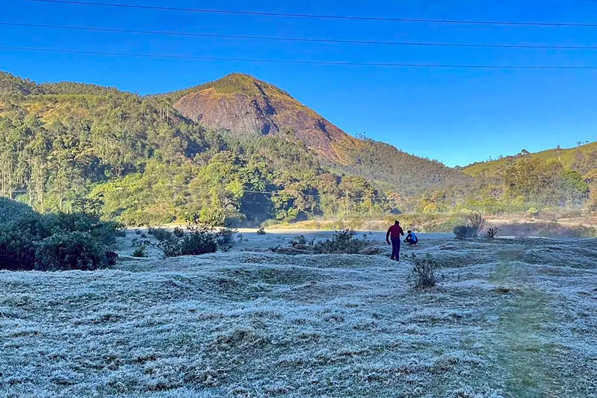 Grass covered with frost in Munnar | Photo: PTI