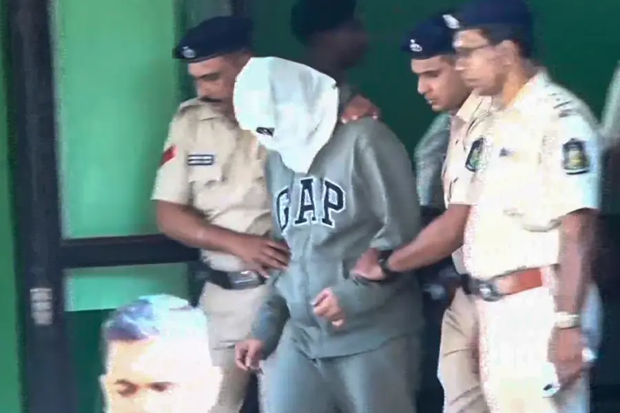 Goa nightclub fire: Luthra brothers placed in police custody for five days