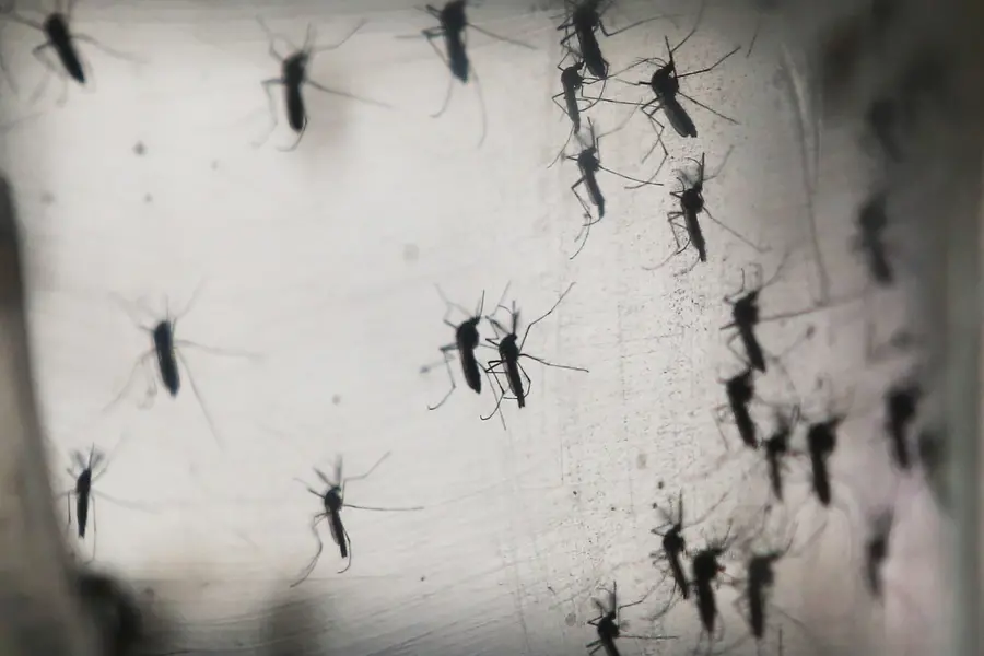Mosquitoes