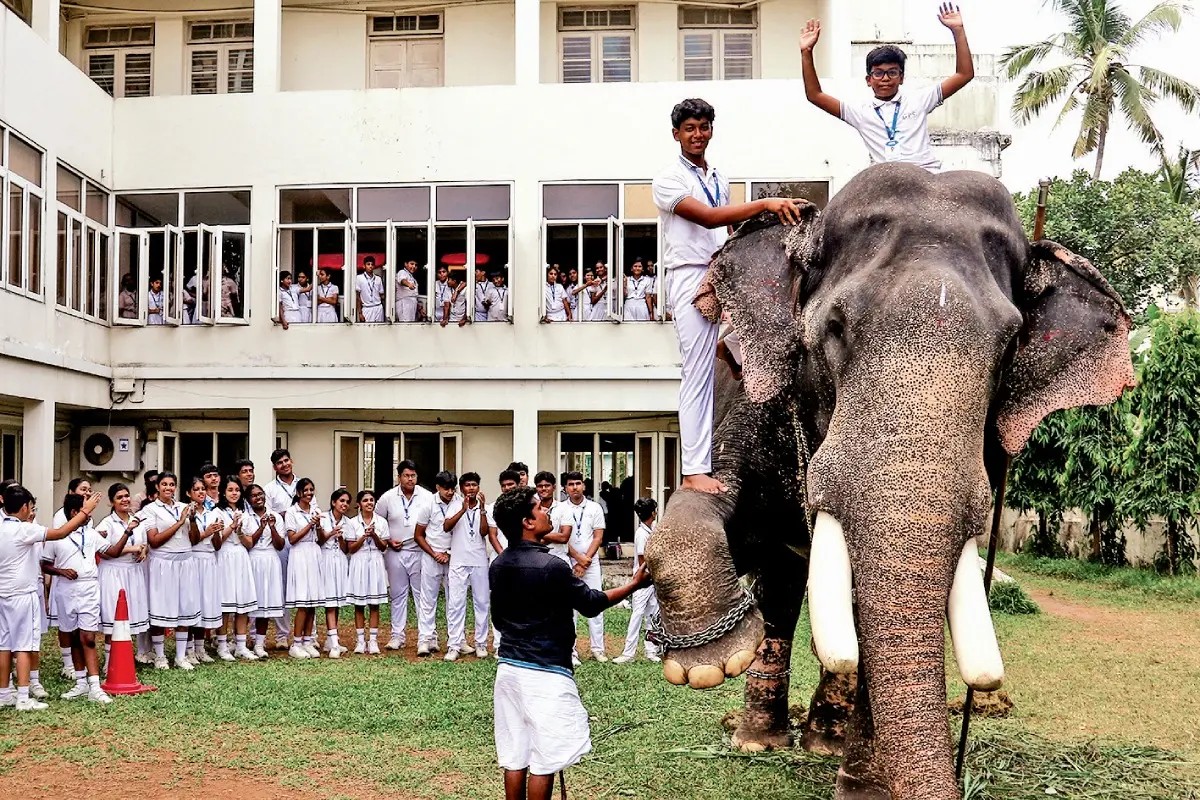 Brothers Kochamman Vinayakan and Devanand Subramaniam with their elephant Kaliyarmadom Shekharan at the pet show