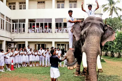 Unusual star: Elephant joins Kochi school's pet show | WATCH