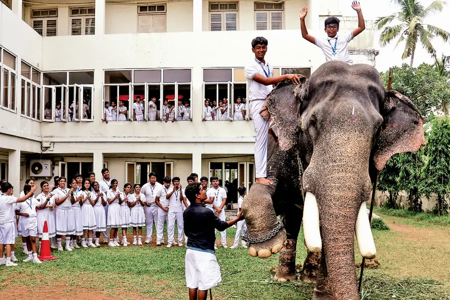 Unusual star: Elephant joins Kochi school's pet show | WATCH