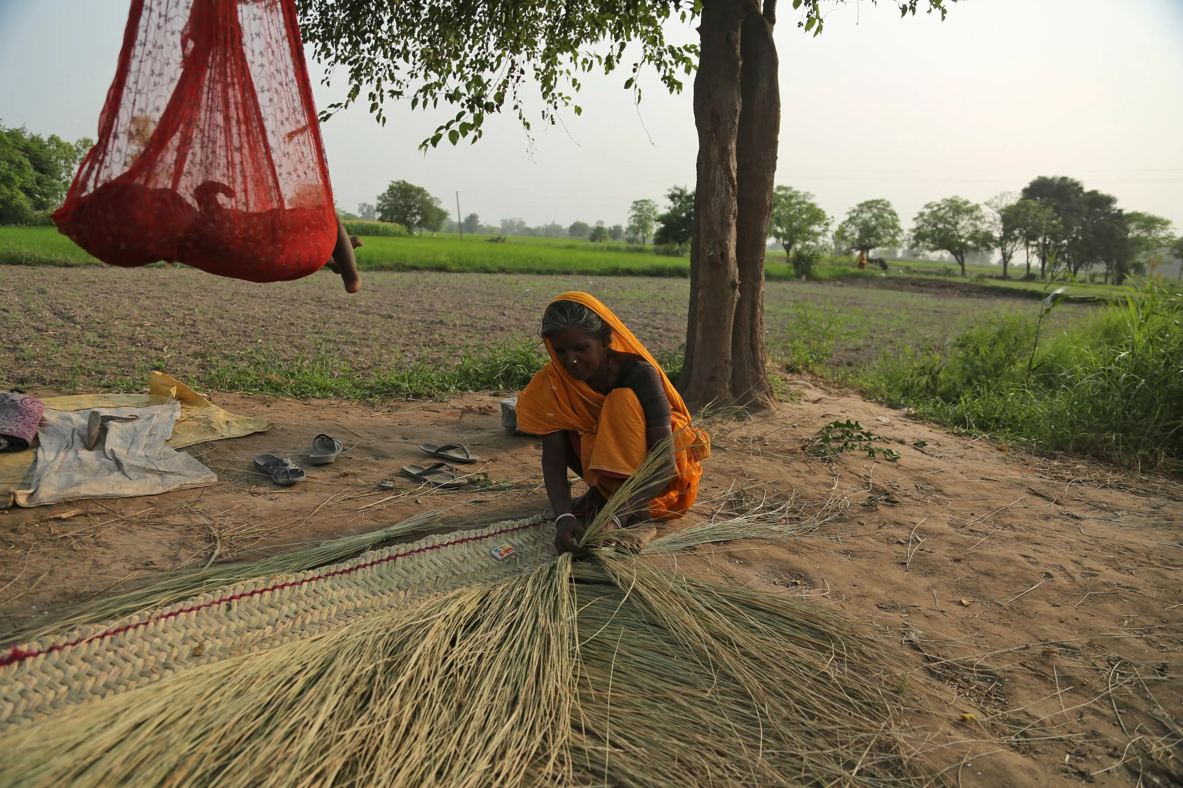 Representational Image | Photo : PTI