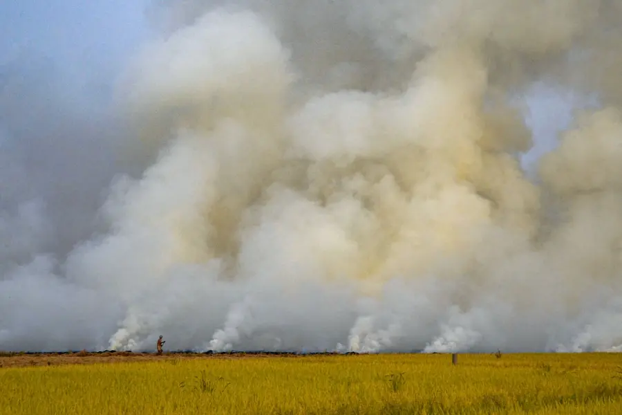 Winter air pollution alert: NCR cities face strict waste management deadlines
