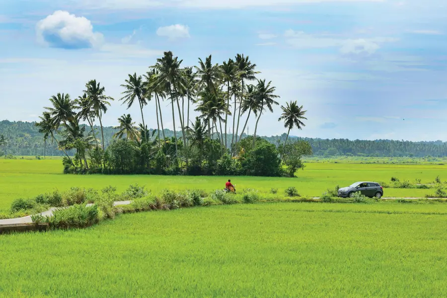 പ്രവചിക്കാനാകാത്ത കാലാവസ്ഥ, കൃഷിയെ രക്ഷിക്കാൻ അഗ്രോഫോറസ്ട്രിയും കാർബൺ ഫാമിങ്ങും