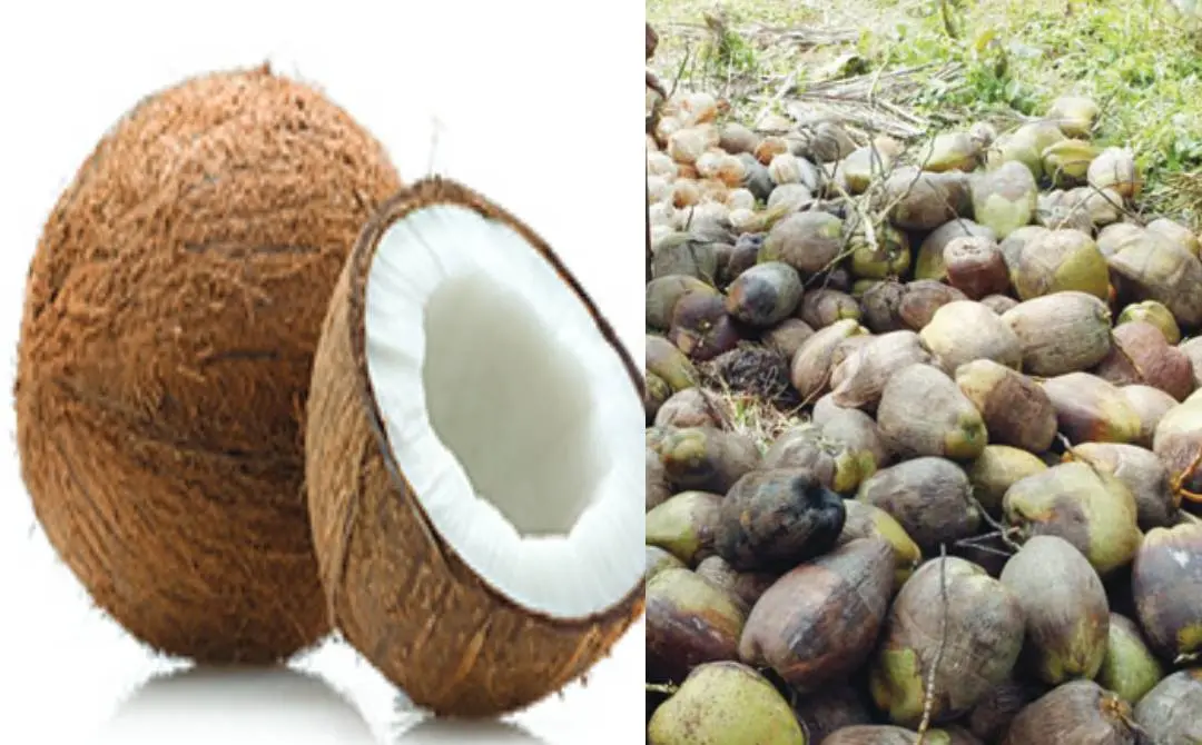 പ്രതീകാത്മക ചിത്രം