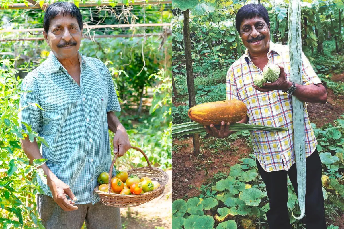Sreenivasan with a bountiful harvest from his fields | Photos: Mathrubhumi