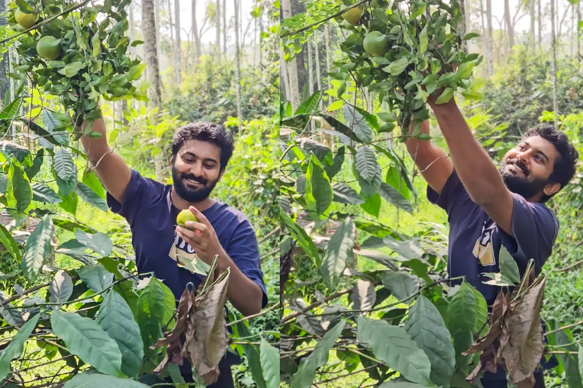 ബബിൻ ഐസക് കൃഷിയിടത്തിൽ | Photo: Special Arrangement