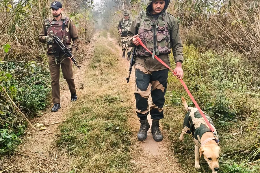 Jammu Kashmir Police and BSF personnel