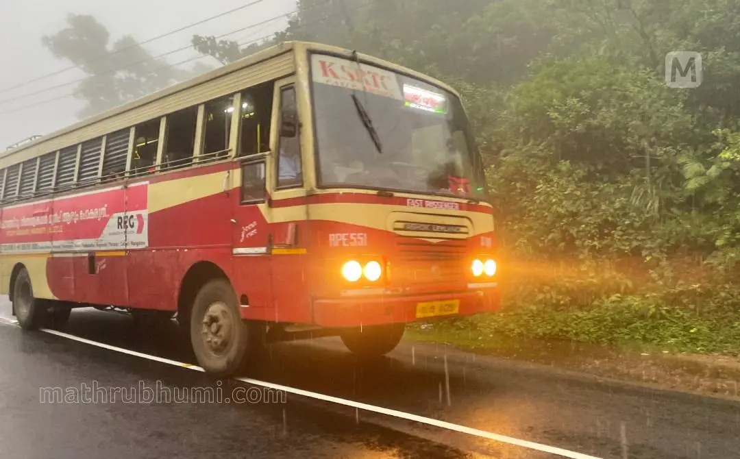 പ്രതീകാത്മക ചിത്രം | ഫോട്ടോ: ശ്രീജിത്ത് പി.രാജ്/ മാതൃഭൂമി
