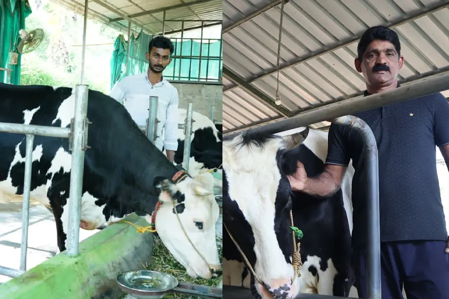 തങ്കച്ചൻ ക്ഷീരപ്രതിഭ, ഡോൺ മാത്യുവിന് ക്ഷീരരത്ന; IVA ക്ഷീരപുരസ്കാരങ്ങൾ പ്രഖ്യാപിച്ചു