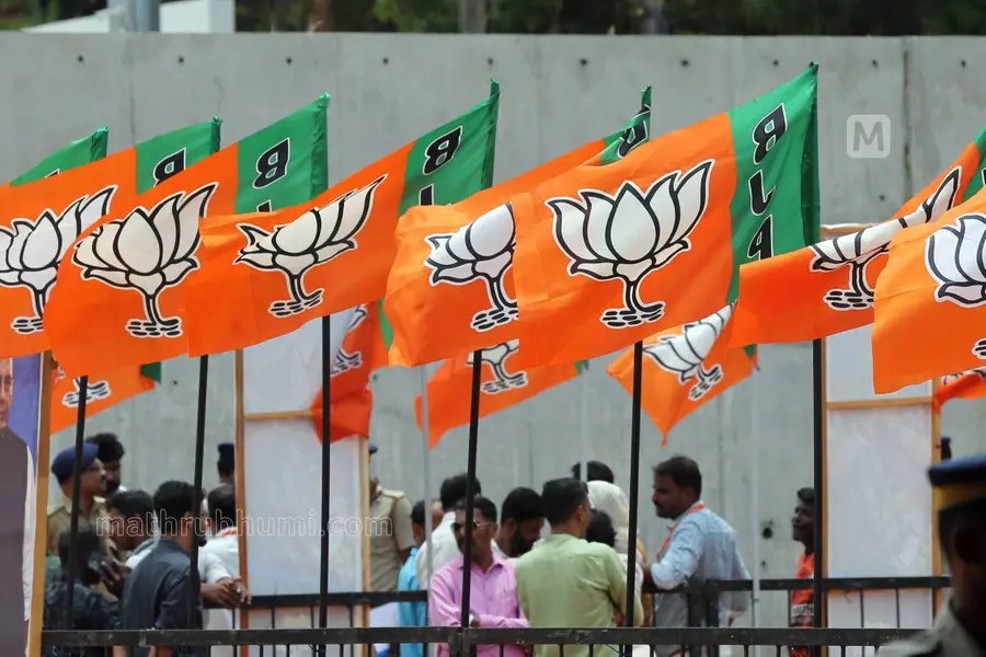 bjp flag